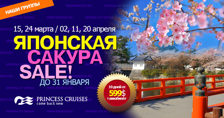 САКУРА - SALE!