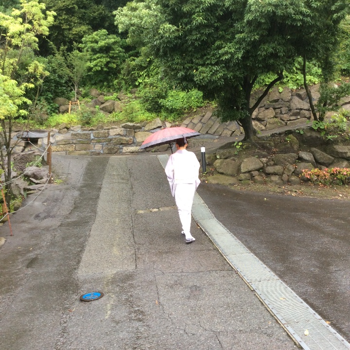 Гейша гуляет по парку Симадзу в Кагосиме
