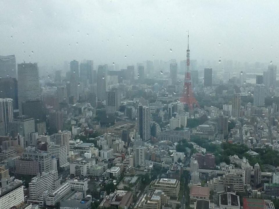 Вид на Токио в дождливый день