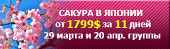 Клёны Японии